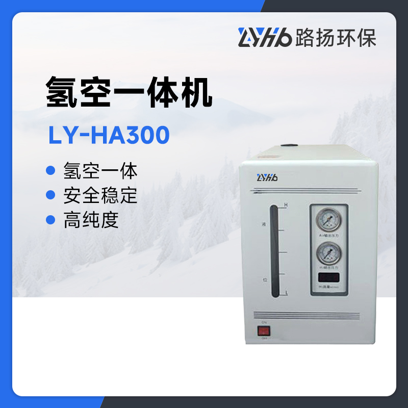 LY-HA300氢空一体机