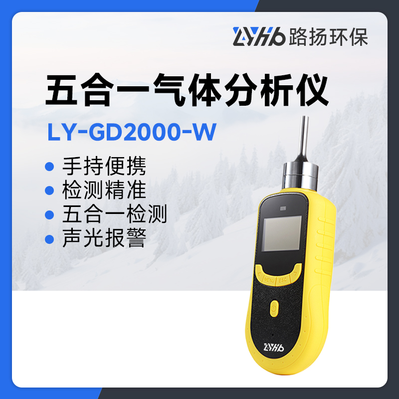 LY-GD2000-W五合一气体分析仪