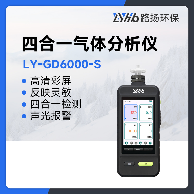 LY-GD6000-S四合一气体分析仪