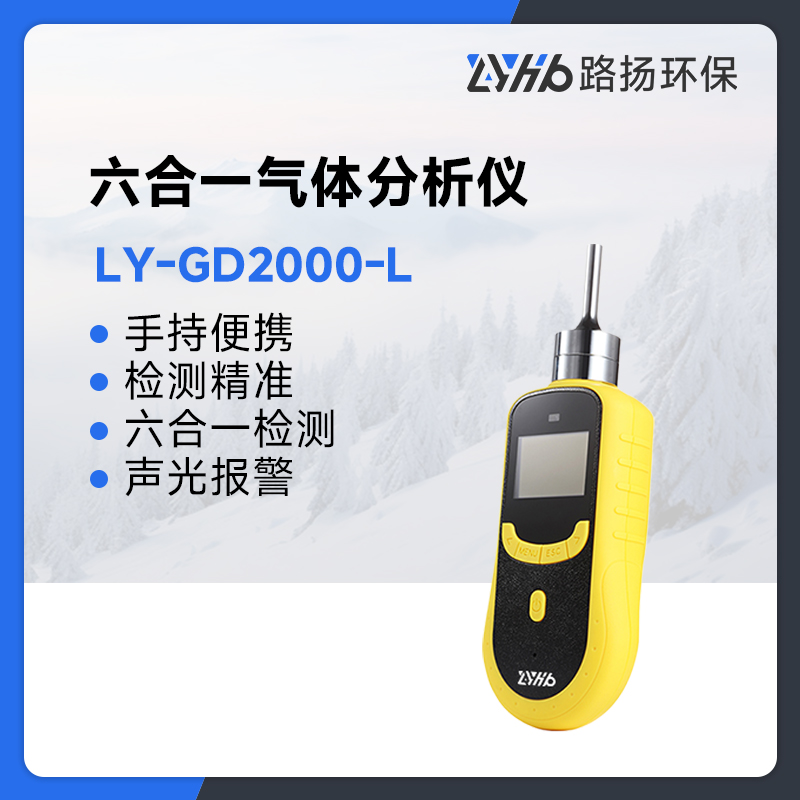 LY-GD2000-L六合一气体分析仪