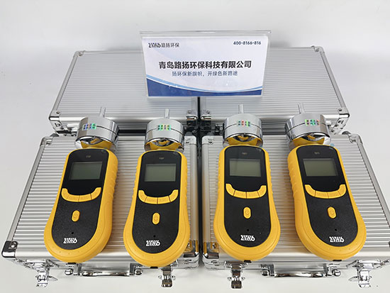 青岛路扬环保LY-GD2000-SO2泵吸式二氧化硫检测仪