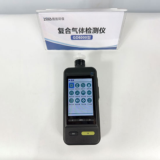 青岛路扬环保LY-GD6000-CO2泵吸式二氧化碳检测仪