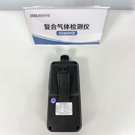 青岛路扬环保LY-GD6000-O3泵吸式臭氧检测仪