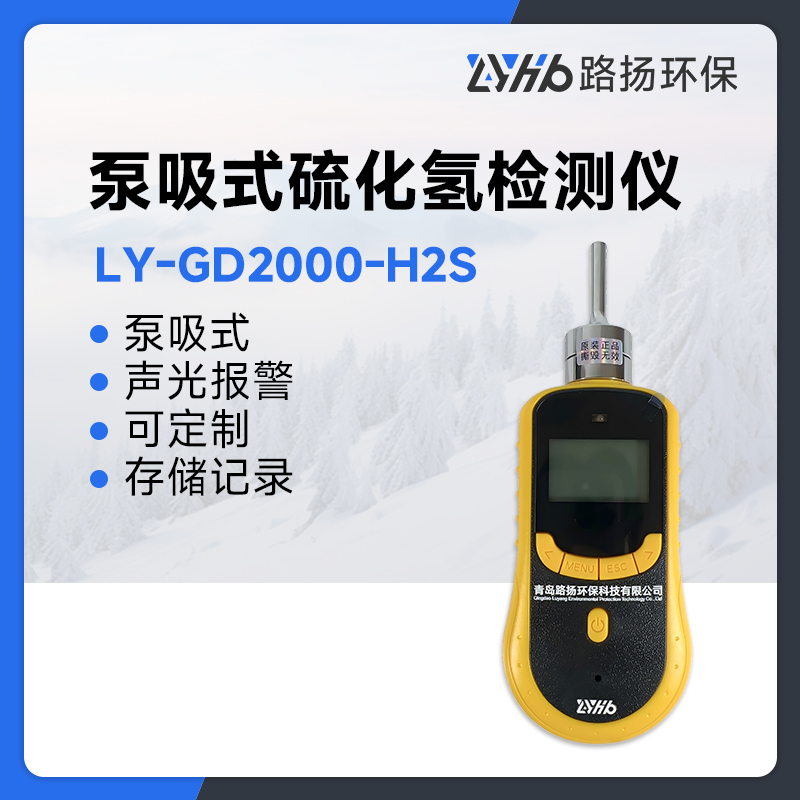 LY-GD2000-H2S泵吸式硫化氢检测仪