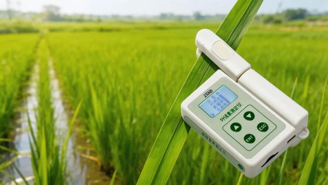 叶绿素测定仪的产品原理、参数推荐及使用贴士